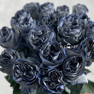 Rosa Painted Mondial Grey