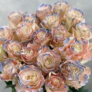 Rosa Painted Mondial Pink Sparkle