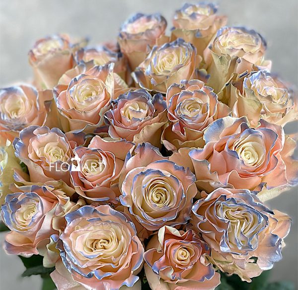 Rosa Painted Mondial Pink Sparkle