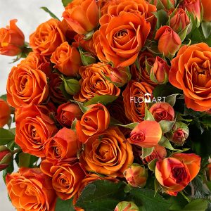 Rosa Spray Orange Barbie