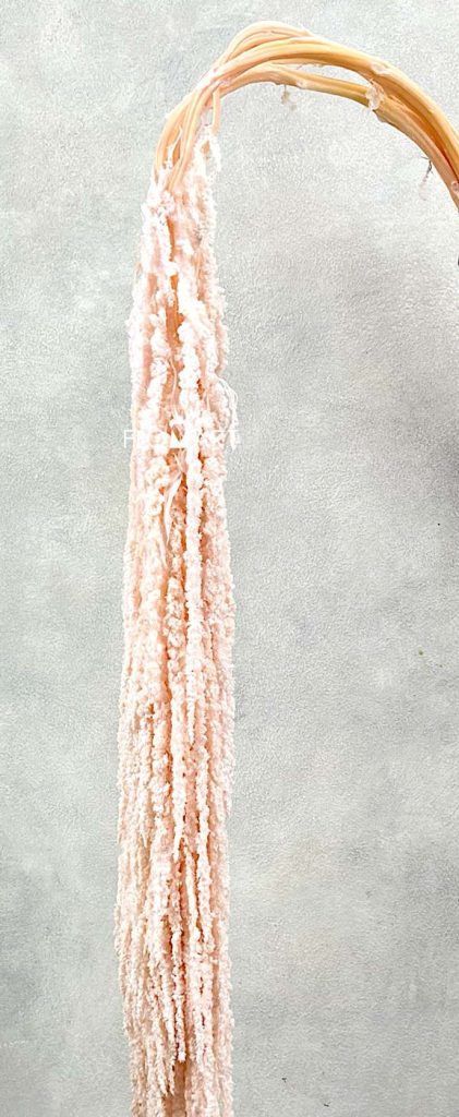 Amaranthus Hang Dried Light Pink