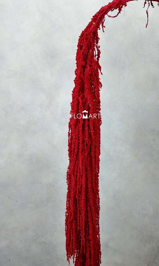 Amaranthus Hang Dried Red