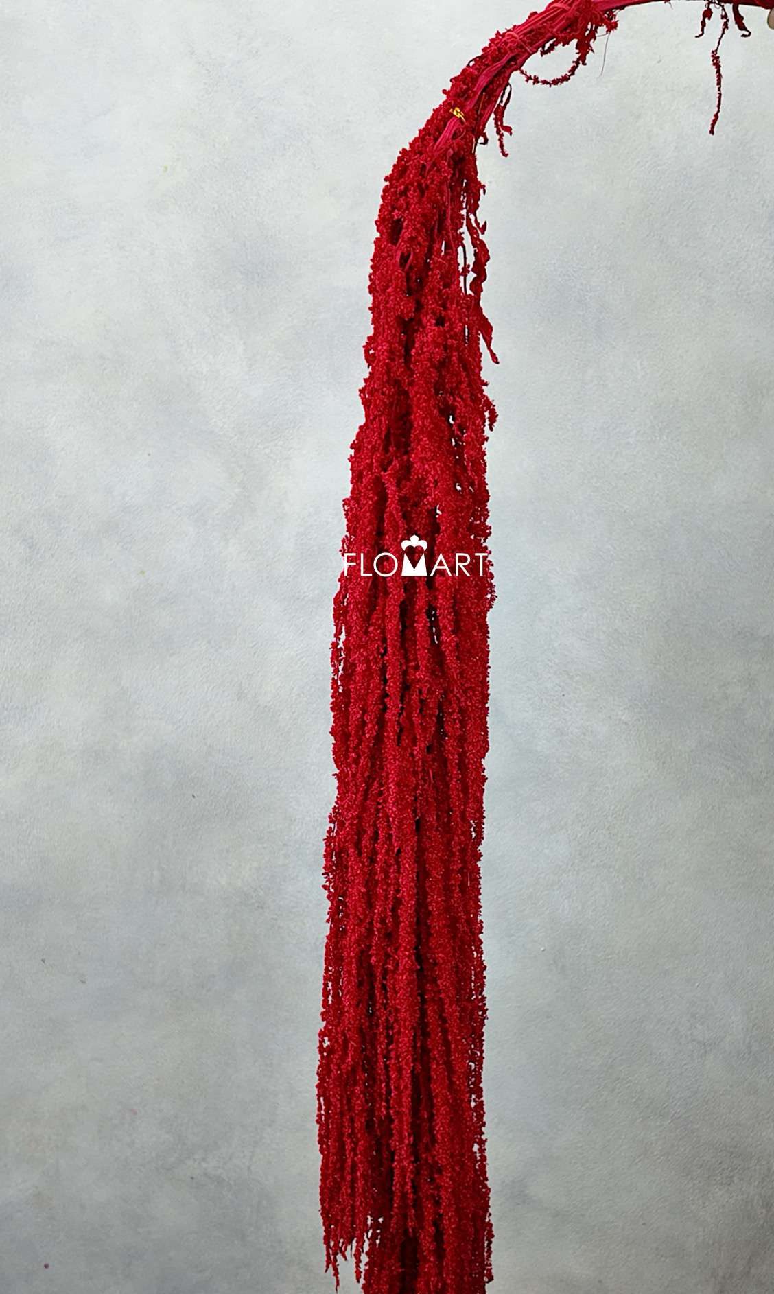 Amaranthus Hang Dried Red - Image 1