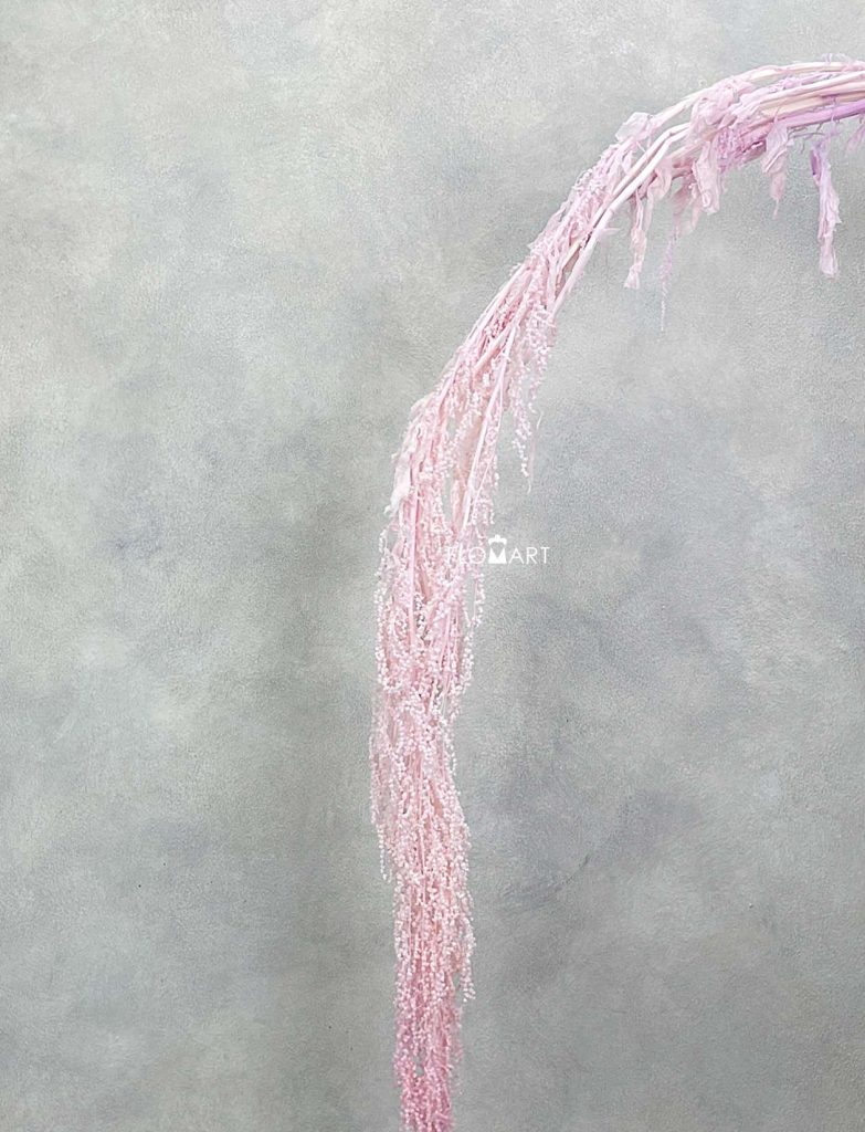 Amaranthus Hang Pr Pink