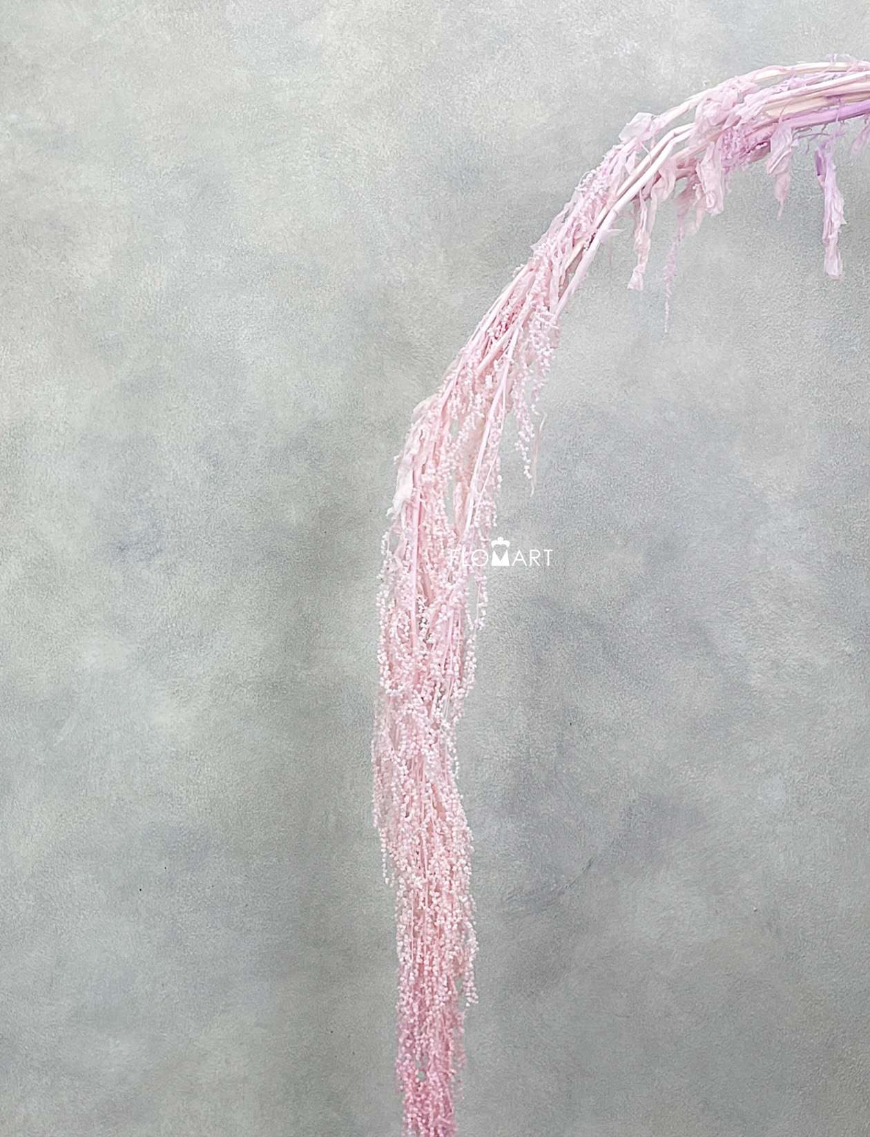 Amaranthus Hang Preserved Pink - Image 1