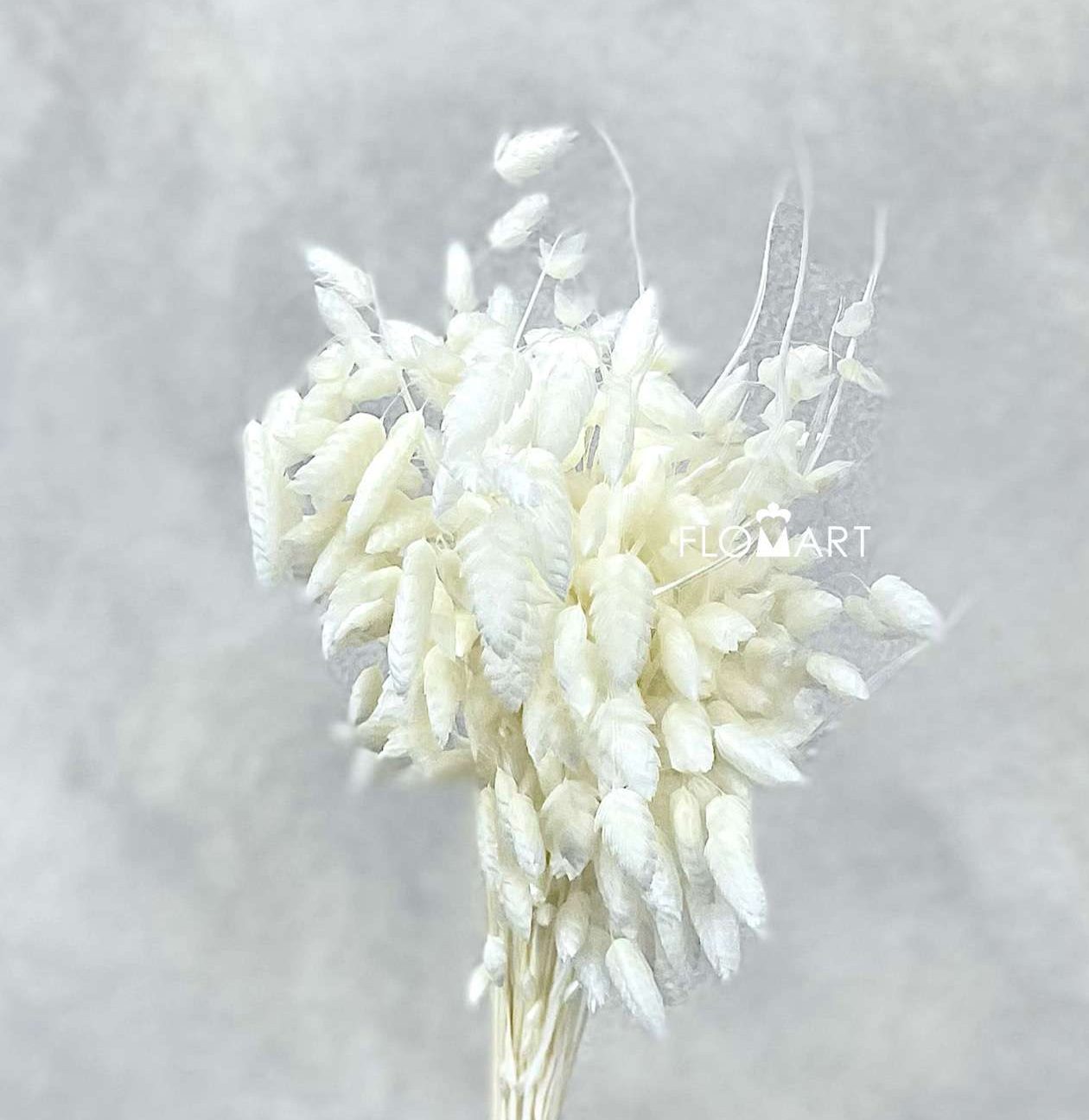 Briza White - Image 1