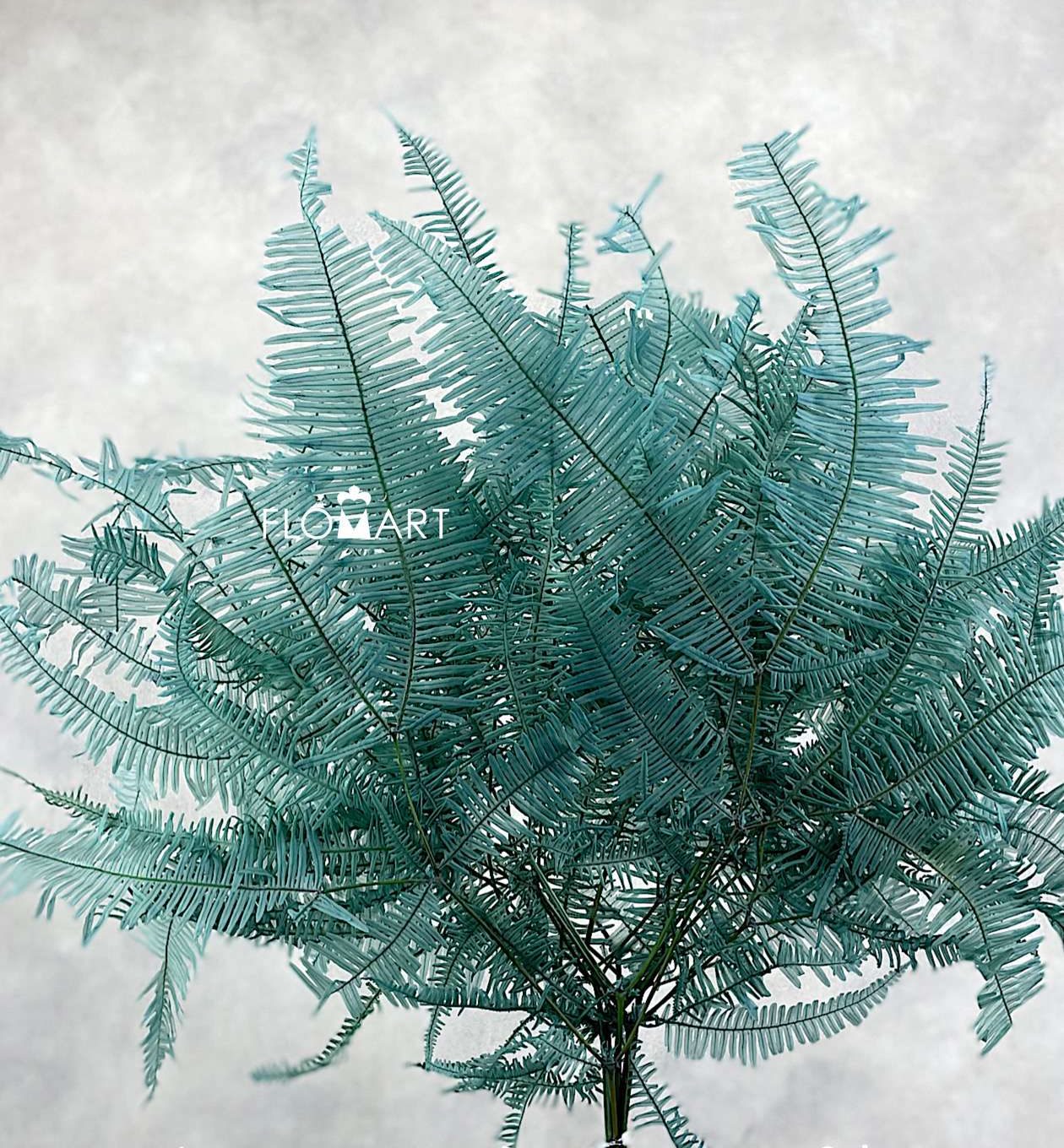 Dryopteris Preserved CH Blue Green - Image 1