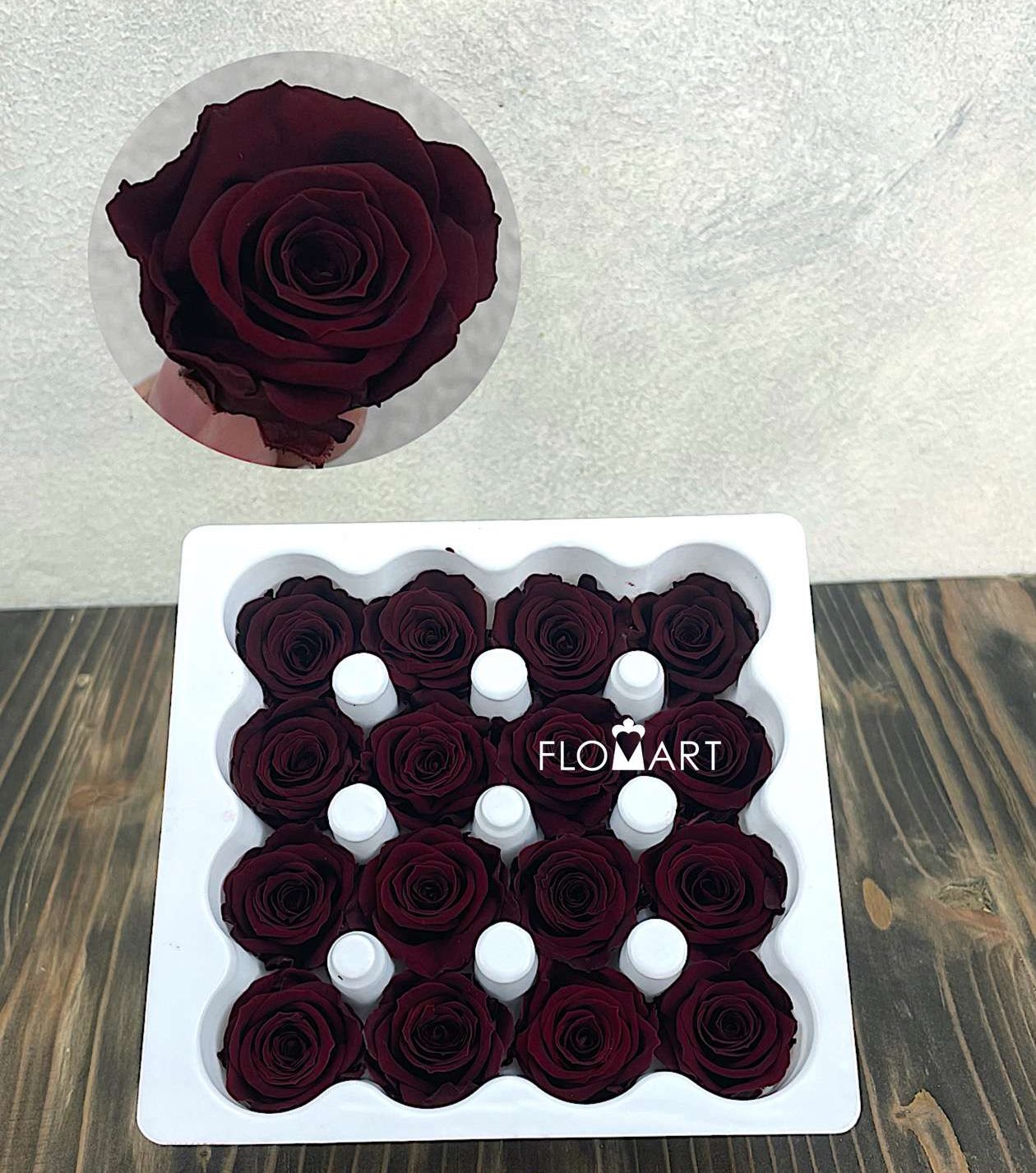 Rosa PR Ava x16 Burgundy - Image 1
