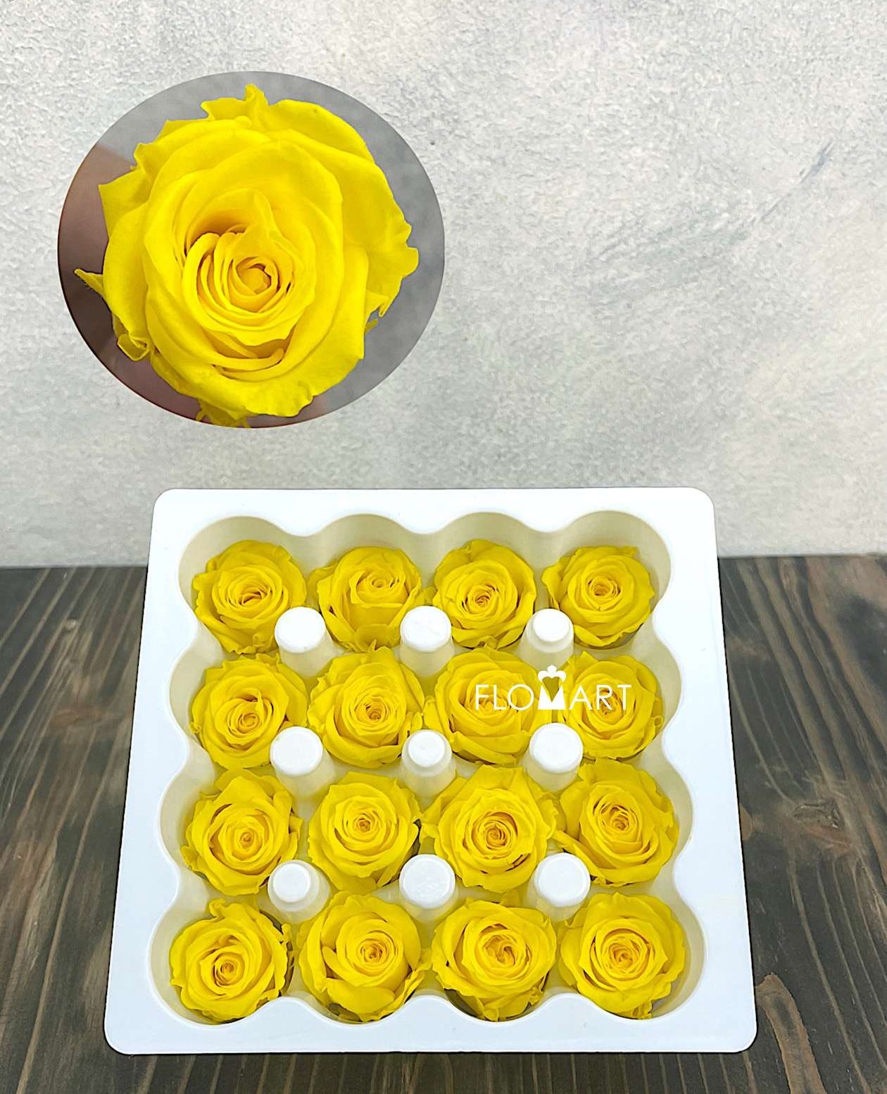 Rosa PR Ava x16 Canary Yellow - Image 1