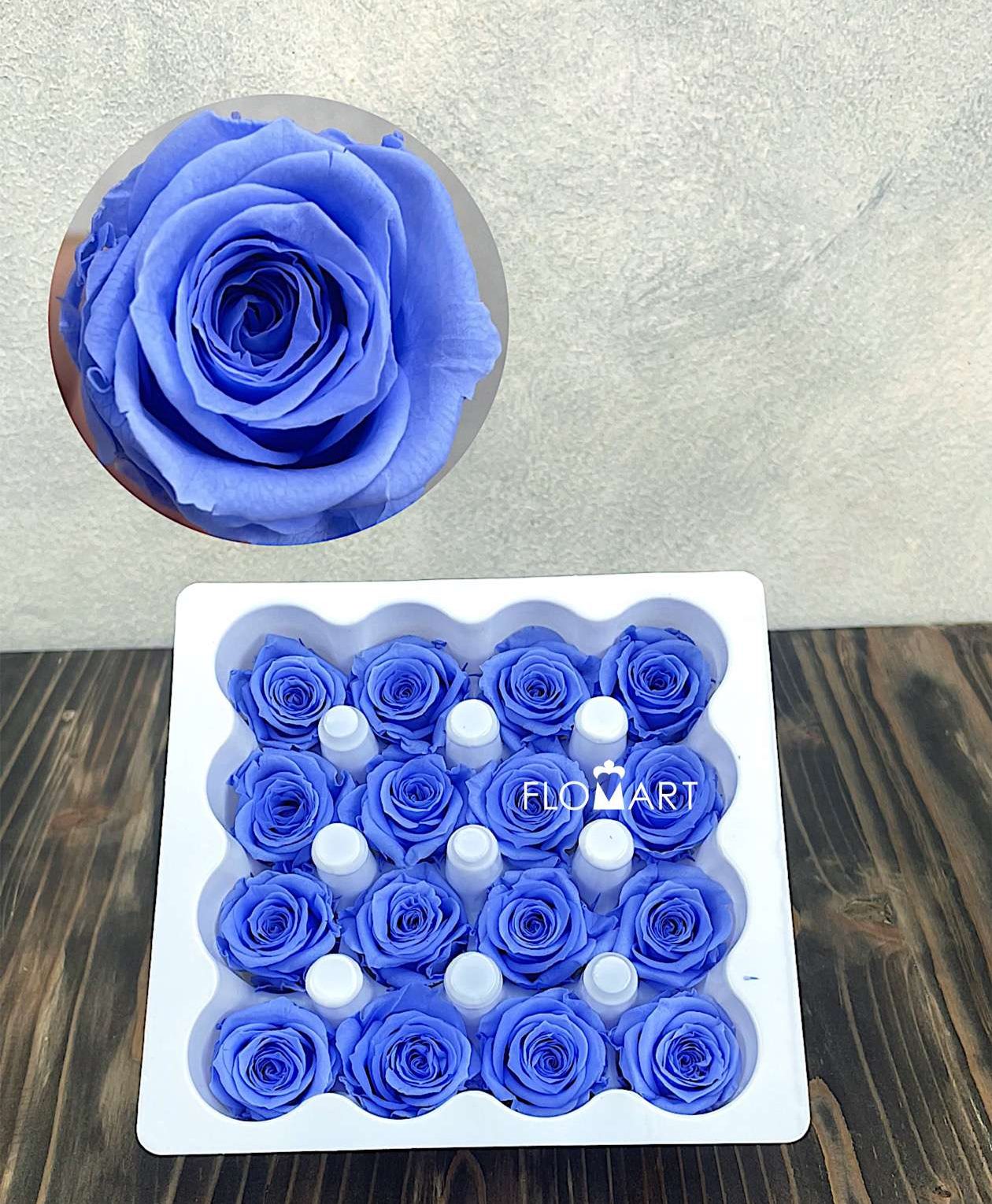 Rosa PR Ava x16 Marine Blue - Image 1