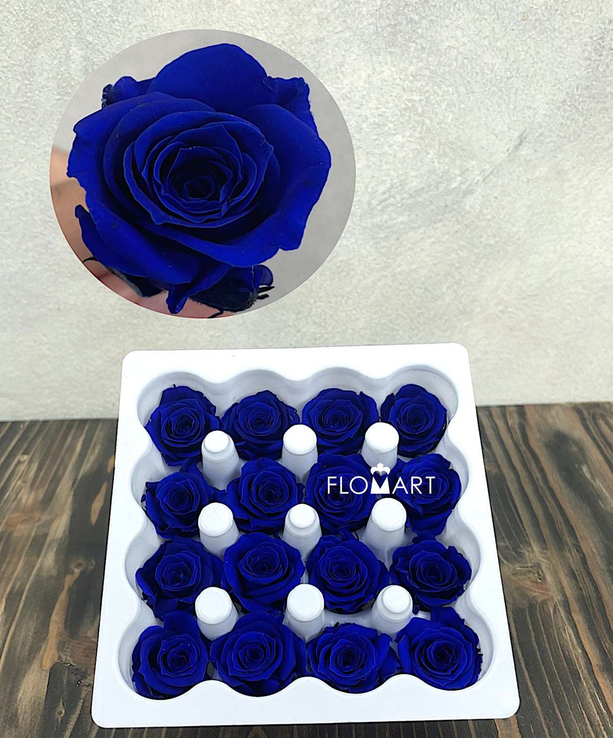 Rosa PR Ava x16 Saphire Blue - Image 1