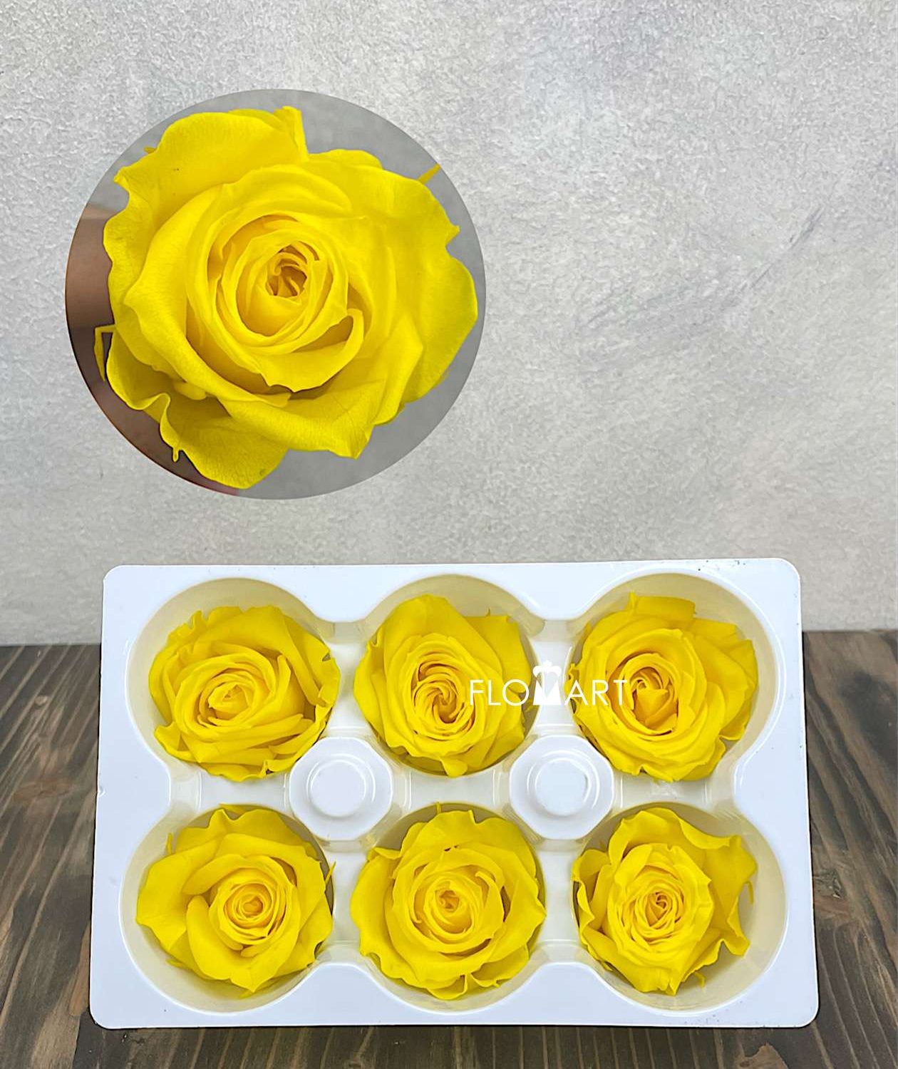 Rosa PR Ines x6 Canary Yellow - Image 1