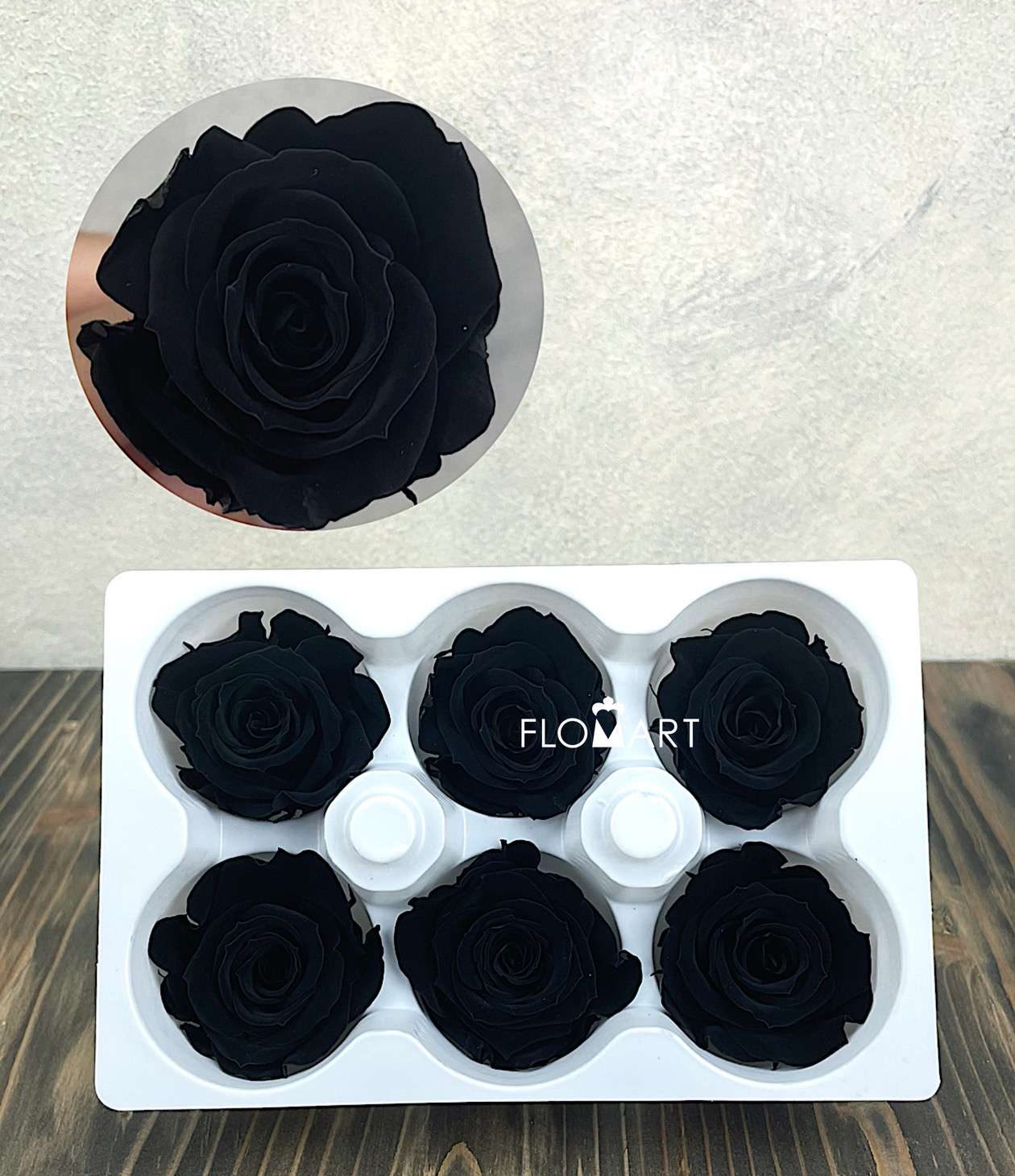 Rosa PR Ines x6 Carbon Black - Image 1