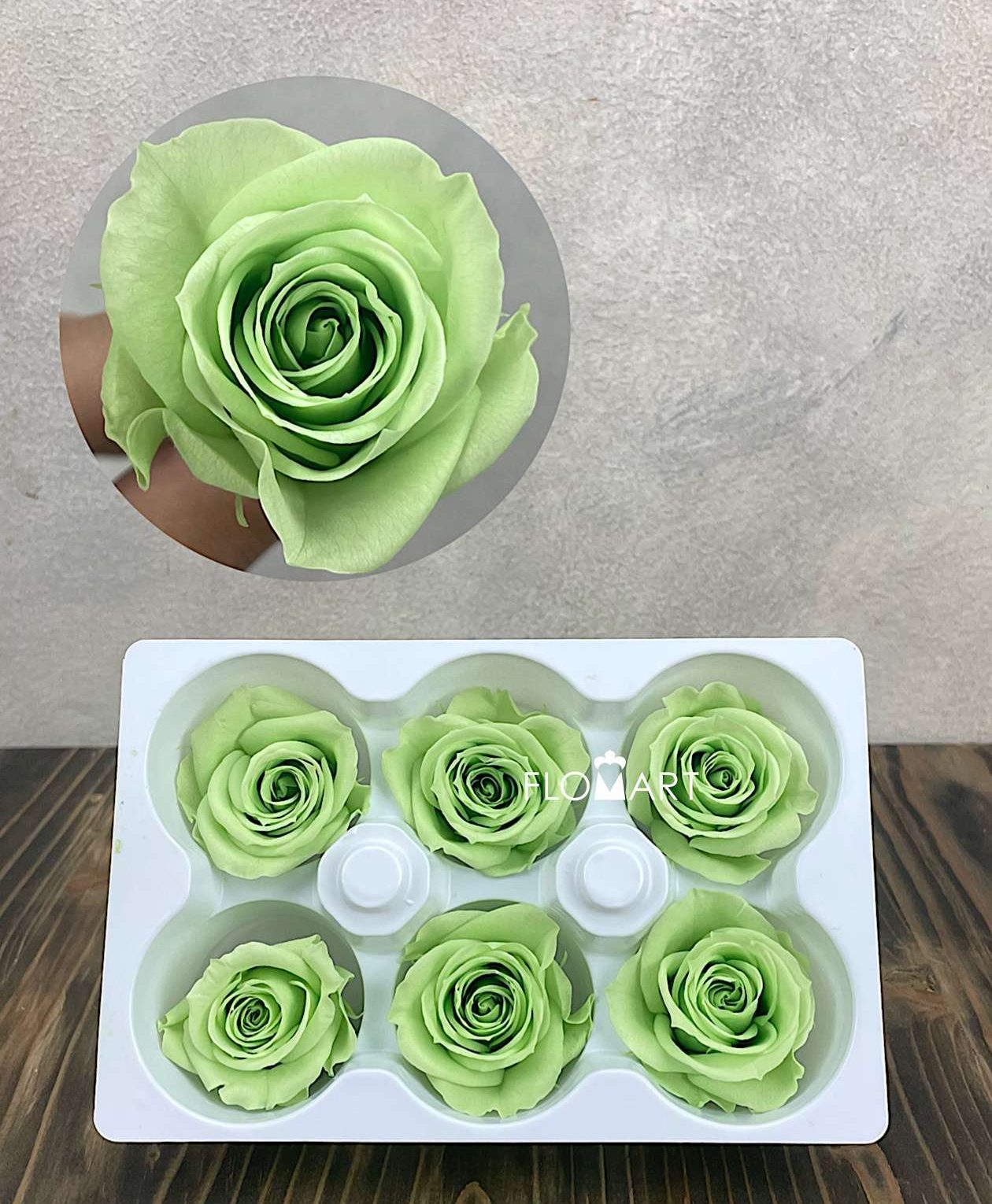 Rosa PR Ines x6 Lime Green - Image 1