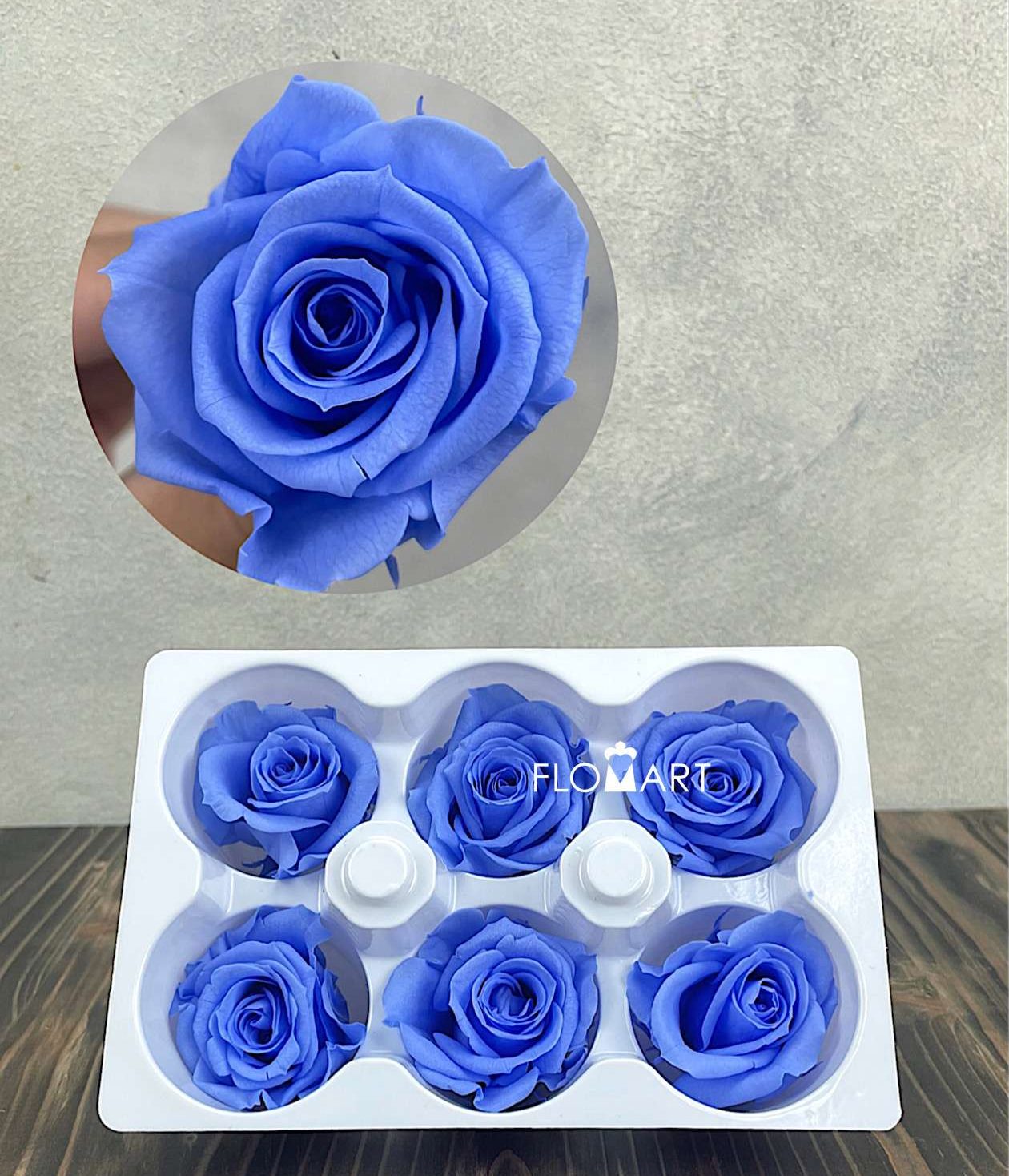 Rosa PR Ines x6 Marine Blue - Image 1