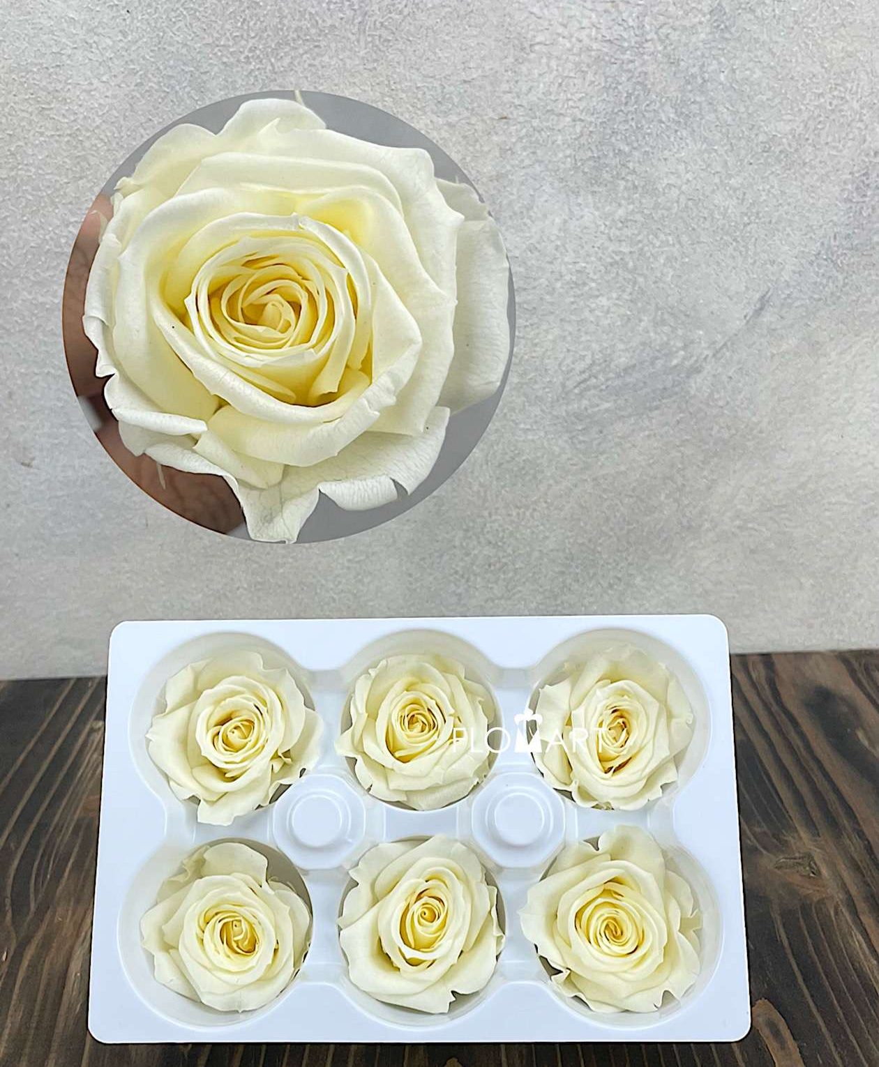 Rosa PR Ines x6 Pastel Yellow - Image 1