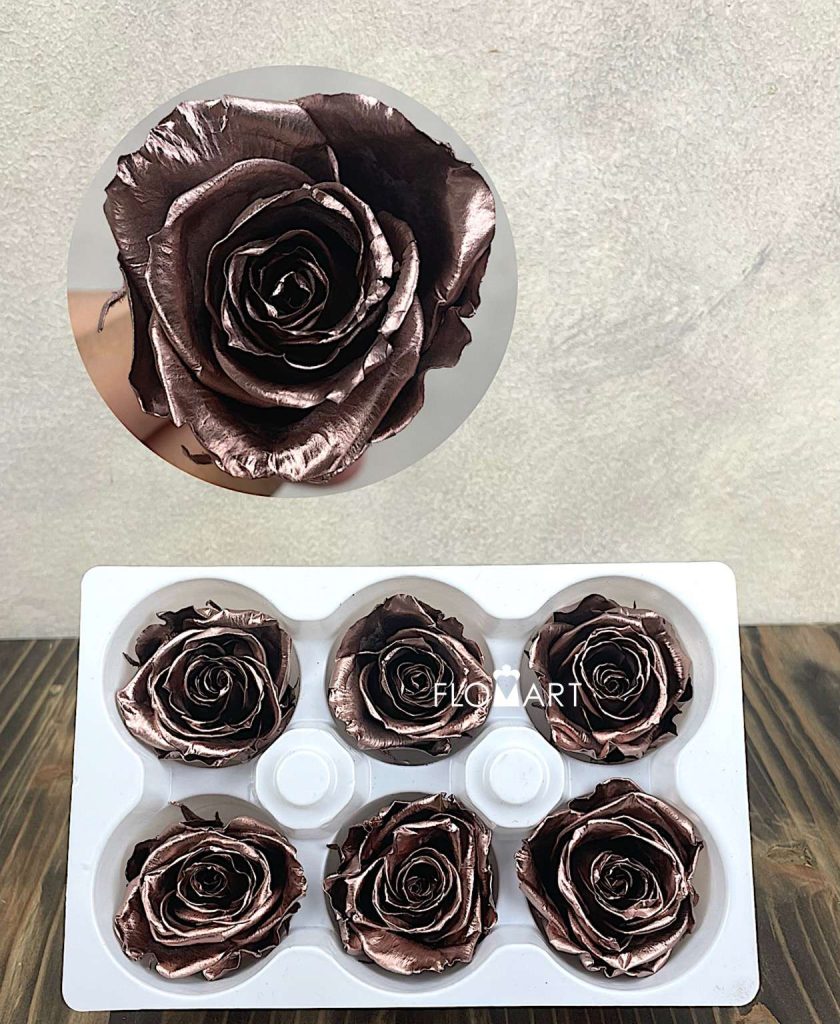 Rosa PR Ines x6 Rose Gold