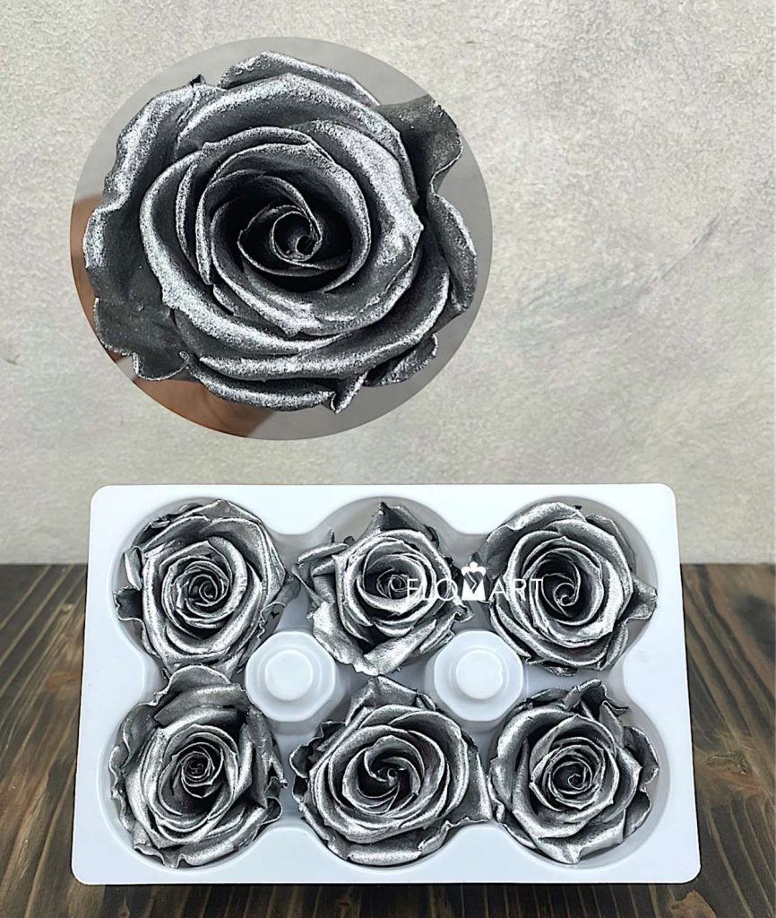 Rosa PR Ines x6 Silver