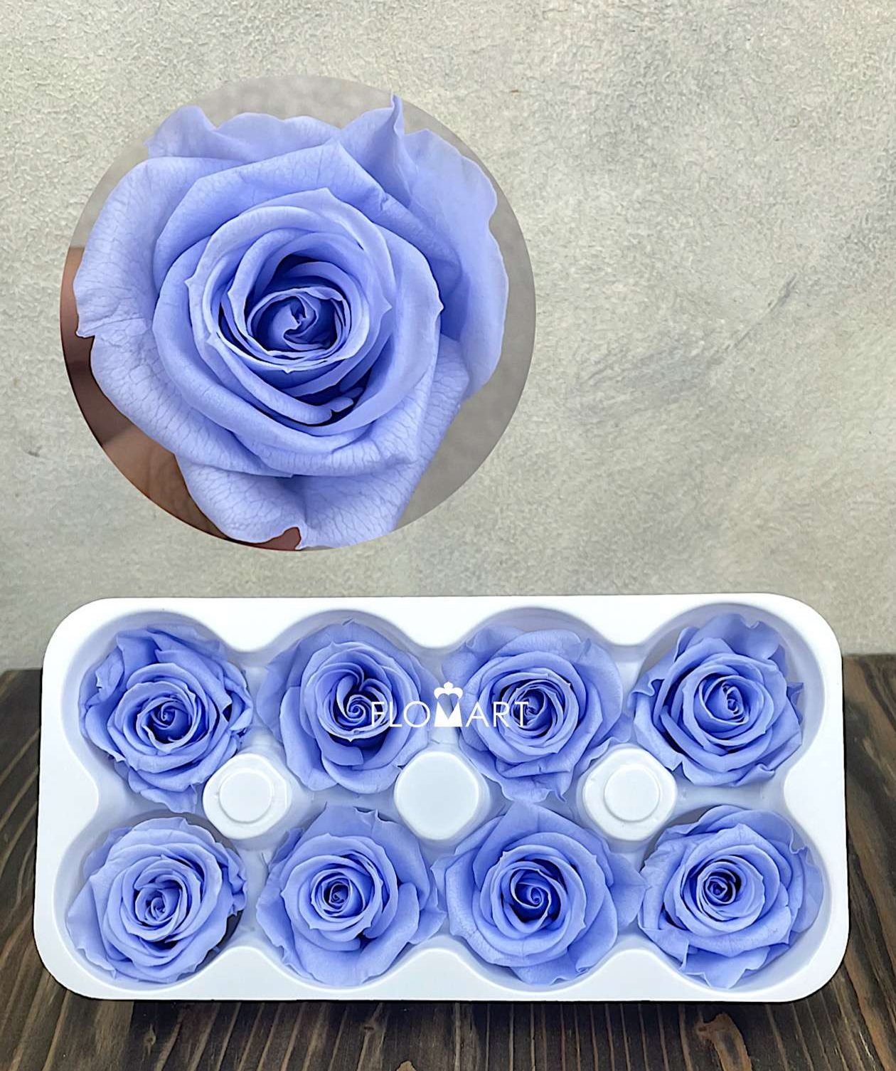 Rosa PR Ines x8 Sky Blue - Image 1