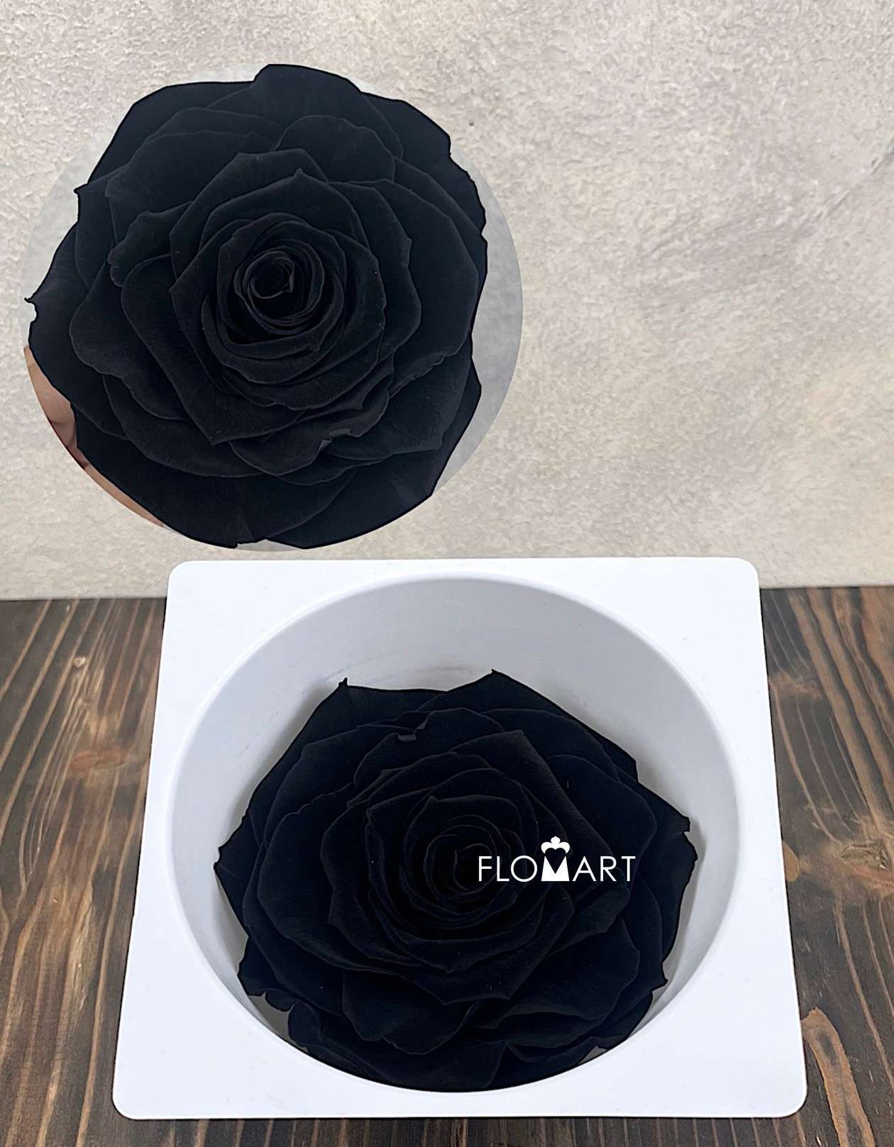 Rosa PR Magna Carbon Black - Image 1