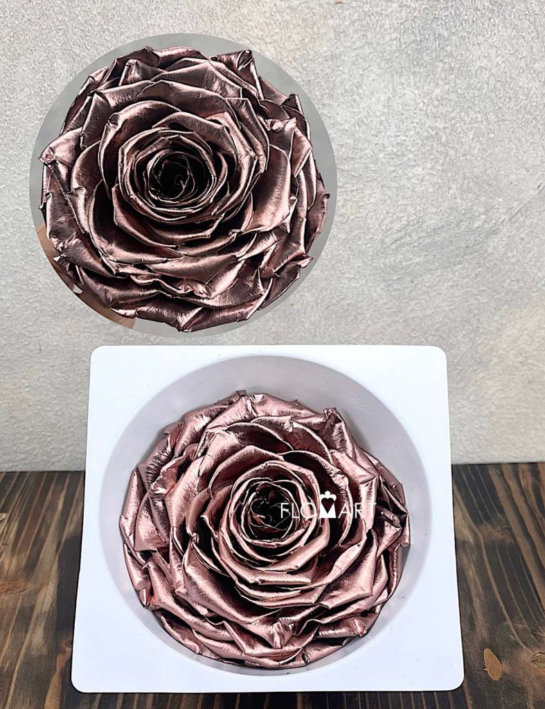 Rosa PR Magna Rose Gold