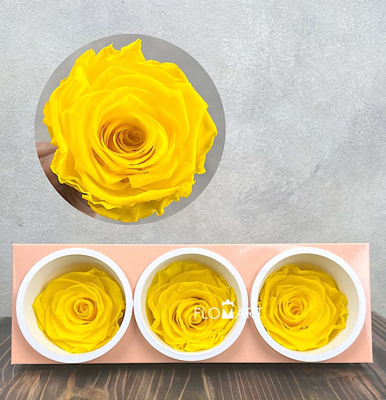Rosa PR Monalisa x3 Canary Yellow - Image 1