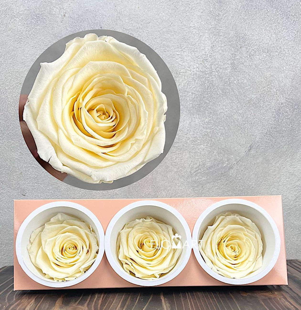 Rosa PR Monalisa x3 Pastel Yellow - Image 1