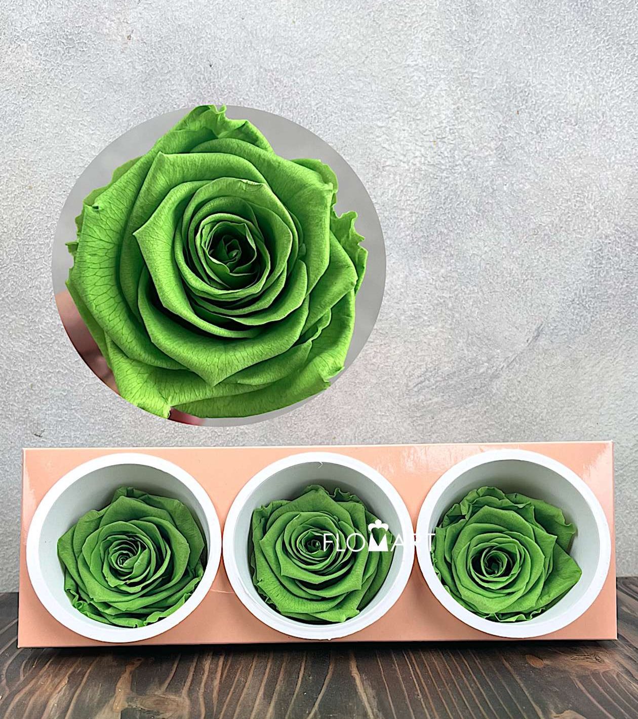 Rosa PR Monalisa x3 Praire Green - Image 1