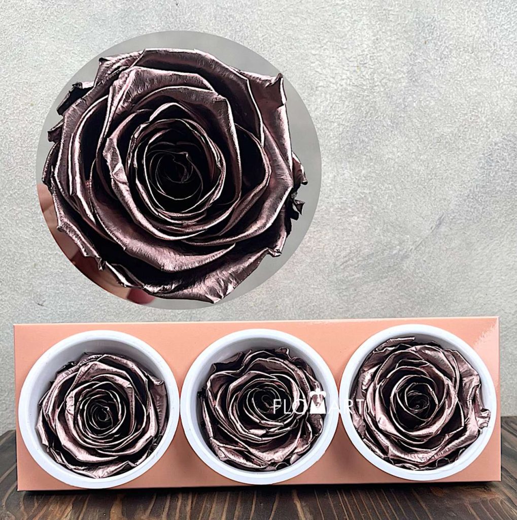 Rosa PR Monalisa x3 Rose Gold