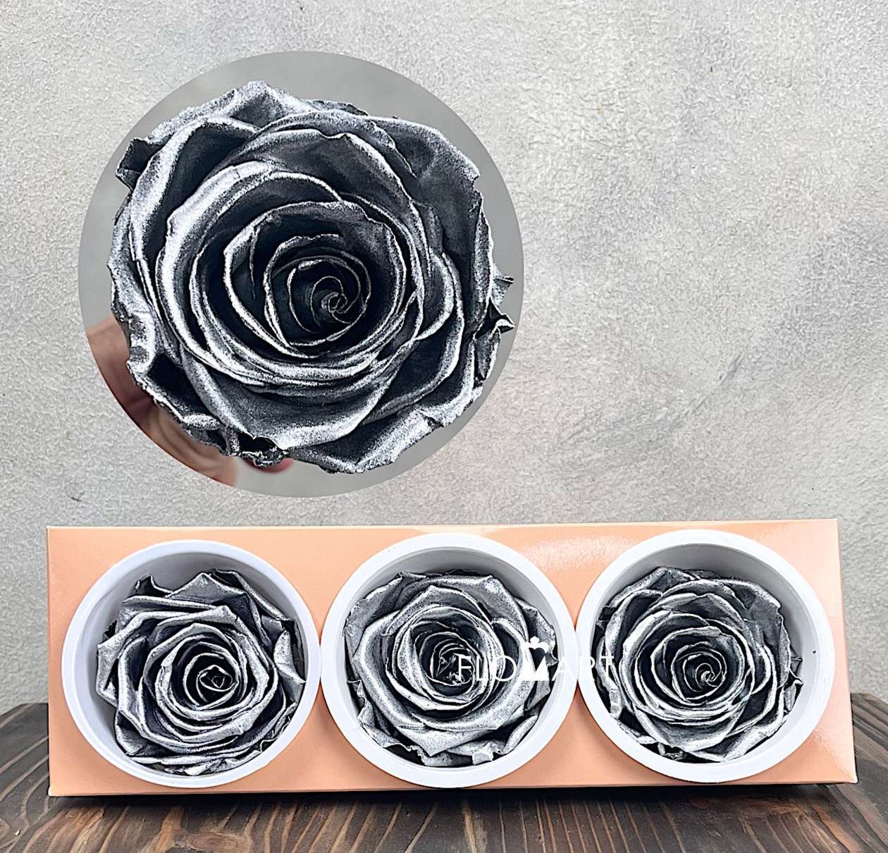 Rosa PR Monalisa x3 Silver - Image 1