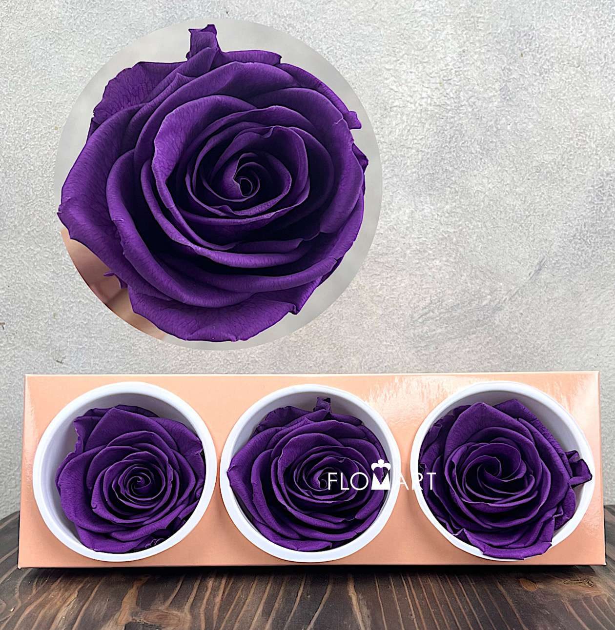 Rosa PR Monalisa x3 Violet - Image 1