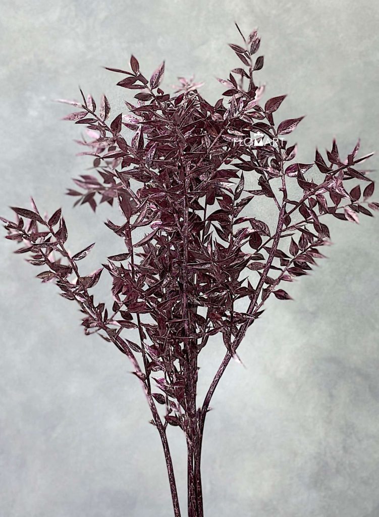 Ruscus Italia Antique Pink