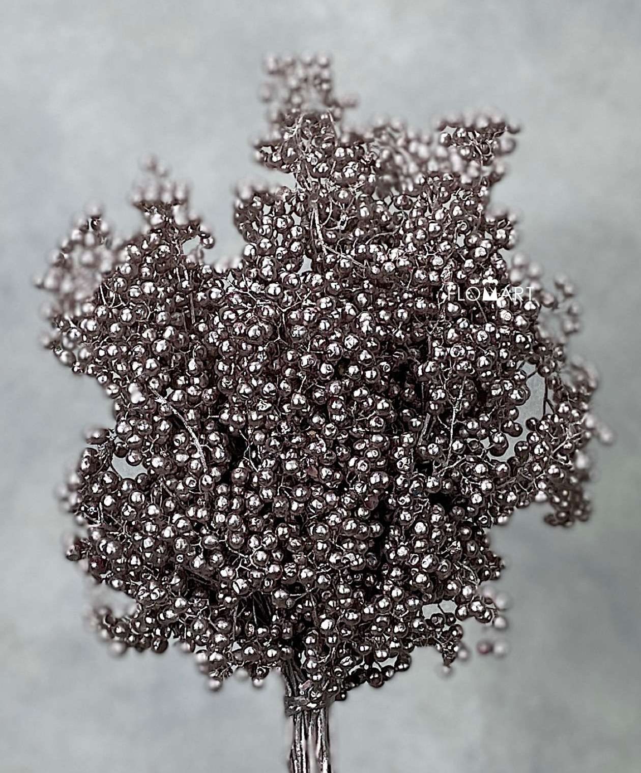 Schinus Molle Antique - Image 1