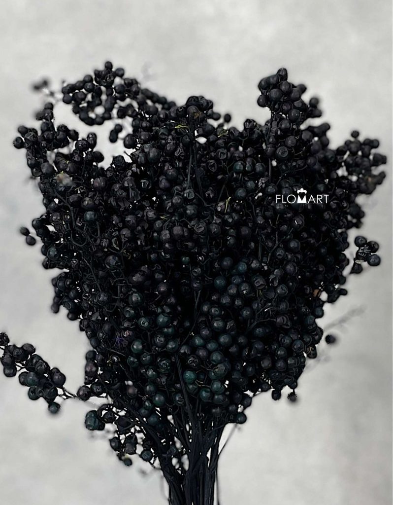 Schinus Molle Black