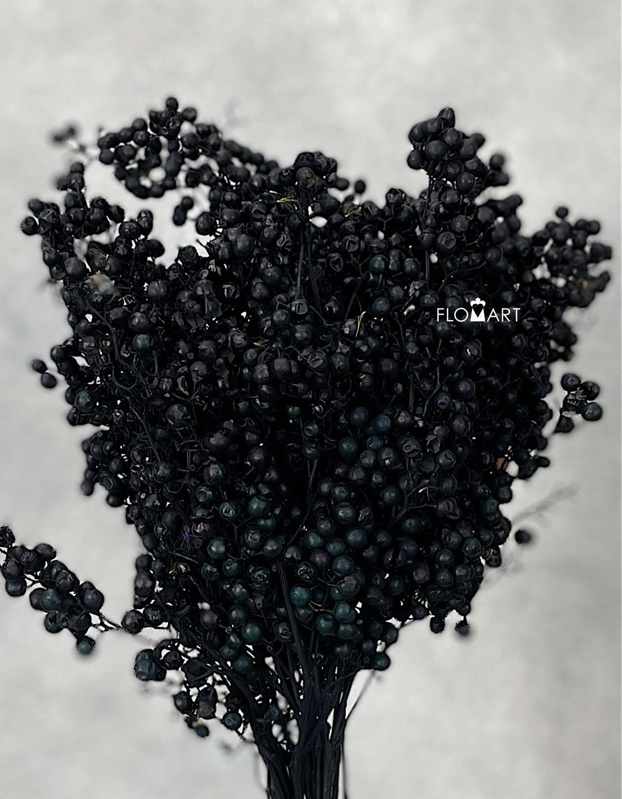 Schinus Molle Black - Image 1