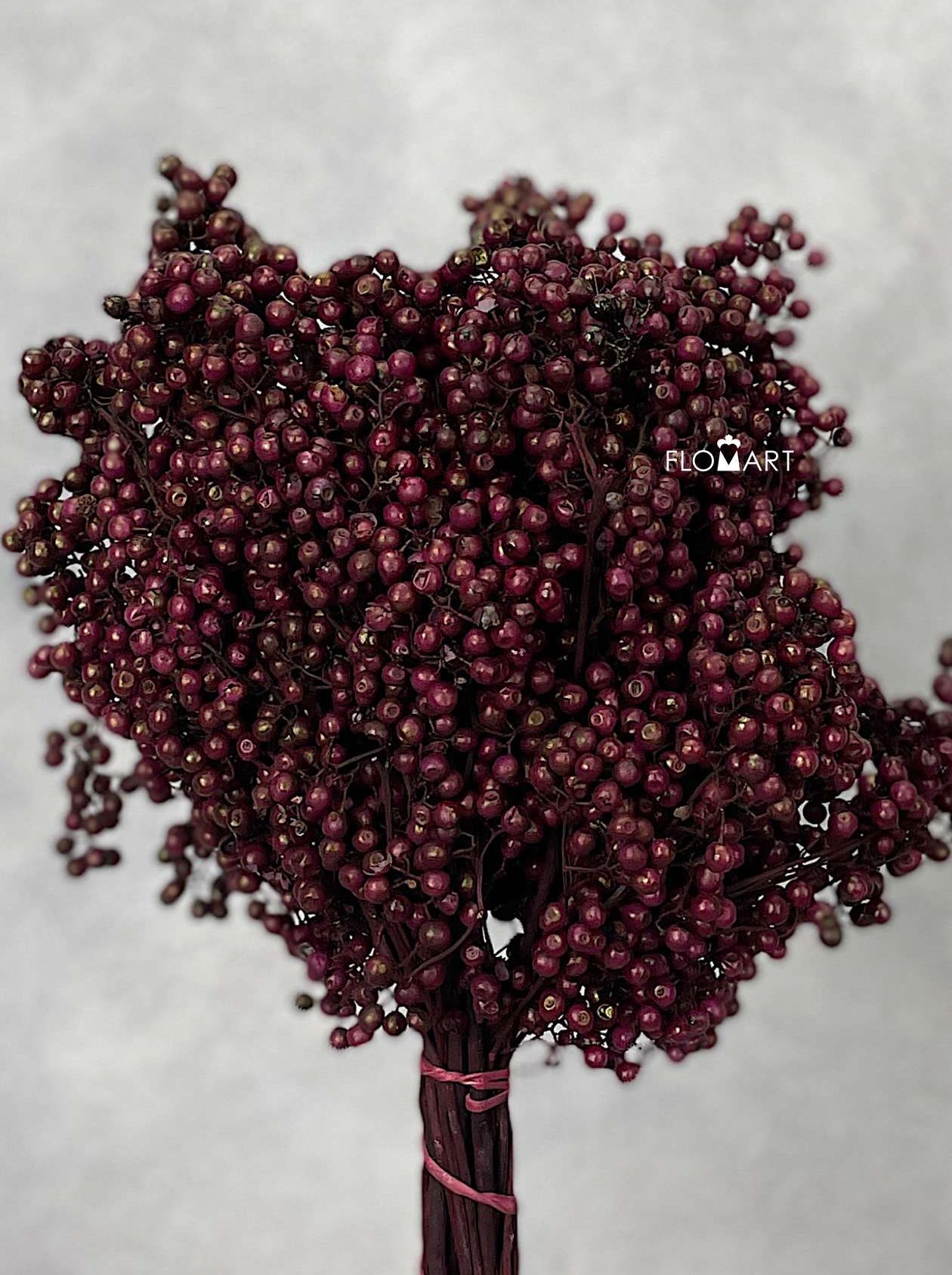 Schinus Molle Bordeaux - Image 1