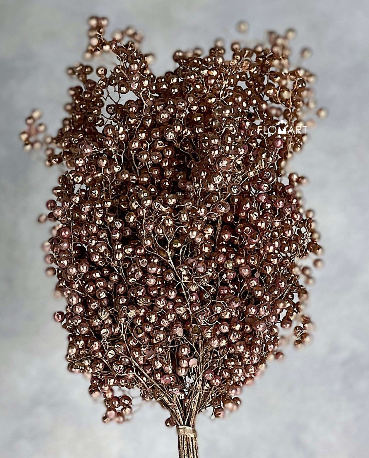 Schinus Molle Copper - Image 1