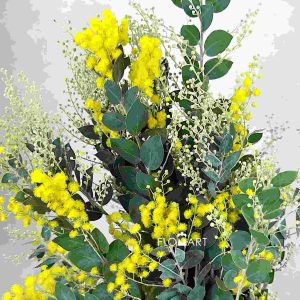 Acacia Farnesiana - Image 1